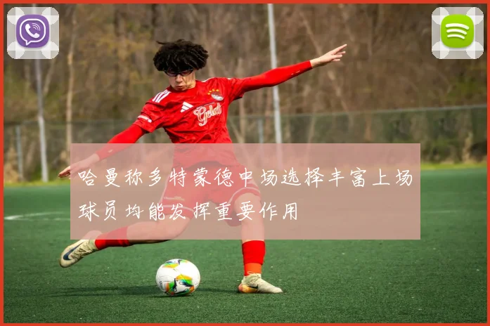 哈曼称多特蒙德中场选择丰富上场球员均能发挥重要作用