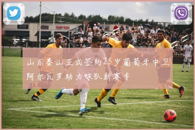 山东泰山正式签约25岁葡萄牙中卫阿尔瓦罗助力球队新赛季