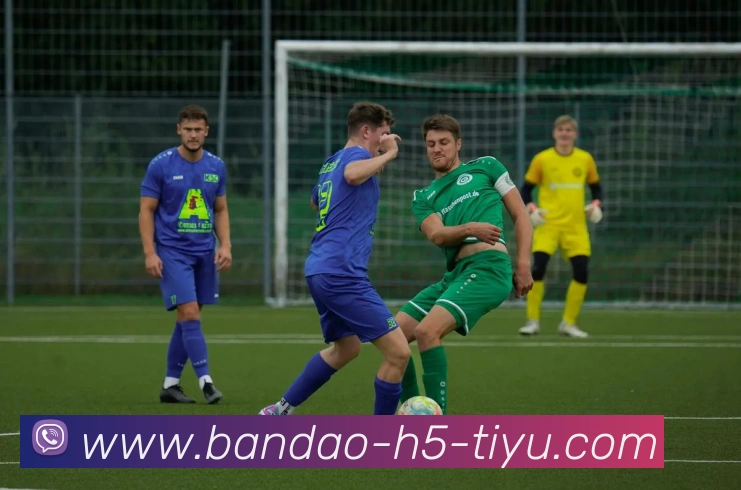 半岛体育发展历程